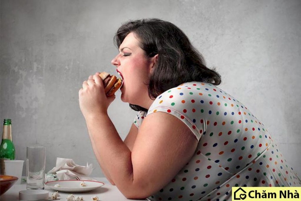 thức ăn nhanh gây bệnh béo phì