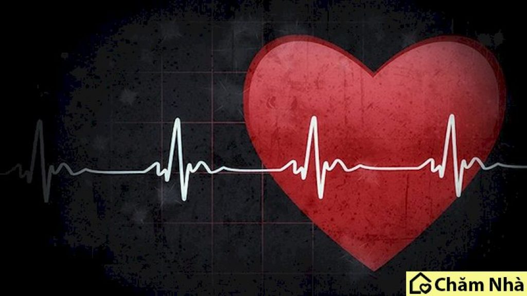 nhịp tim là tiêu chuẩn để đánh giá sức khỏe